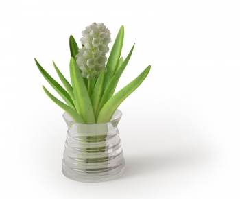 Modern Potted Green Plant-ID:576492615