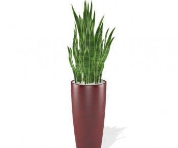 Modern Potted Green Plant-ID:347692194