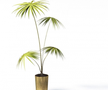 Modern Potted Green Plant-ID:690809171