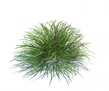 Modern Tree/shrub/grass-ID:985672144