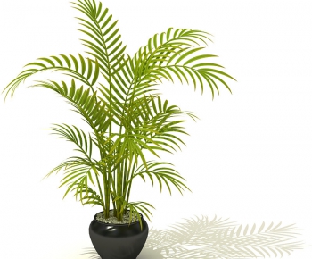 Modern Potted Green Plant-ID:470508423