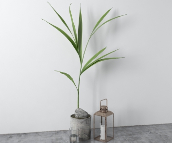 Modern Potted Green Plant-ID:620930578