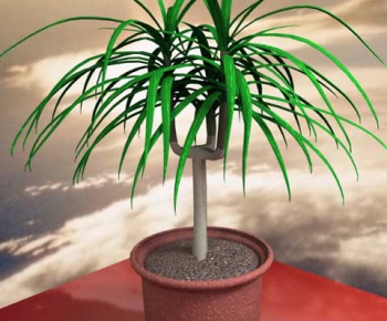 Modern Potted Green Plant-ID:417531949