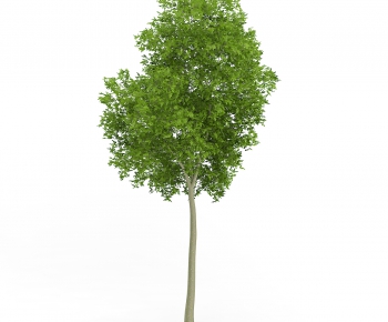 Modern Tree/shrub/grass-ID:141378672
