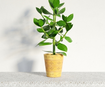 Modern Potted Green Plant-ID:546288472