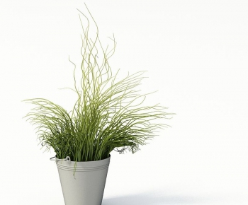Modern Potted Green Plant-ID:602042572