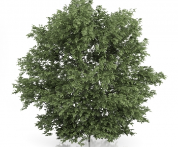 Modern Tree/shrub/grass-ID:564865965