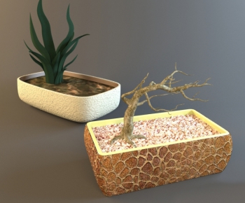 Modern Potted Green Plant-ID:482161171