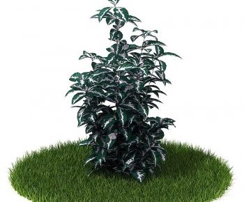 Modern Tree/shrub/grass-ID:912220643
