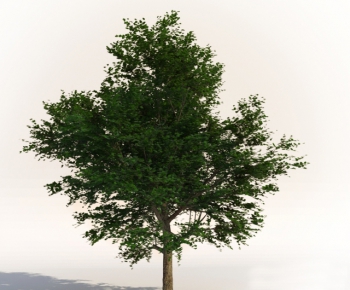 Modern Tree-ID:981360154