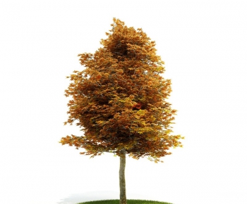 Modern Tree/shrub/grass-ID:699338476