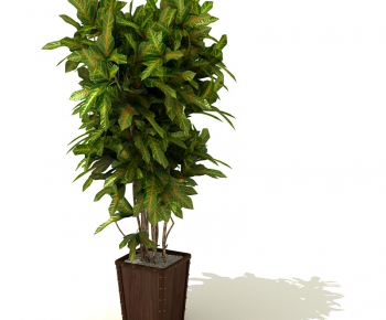 Modern Potted Green Plant-ID:308153125