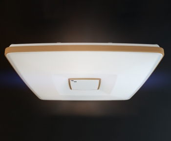 Modern Ceiling Ceiling Lamp-ID:780359768