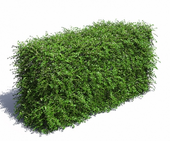 Modern Tree/shrub/grass-ID:577638464