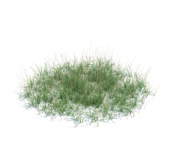 Modern Tree/shrub/grass-ID:802009683