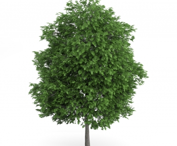 Modern Tree/shrub/grass-ID:959916982