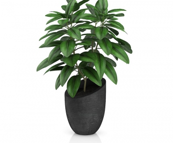 Modern Potted Green Plant-ID:855945854