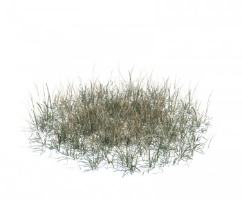 Modern Tree/shrub/grass-ID:537072247