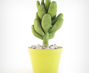 Modern Potted Green Plant-ID:419958236