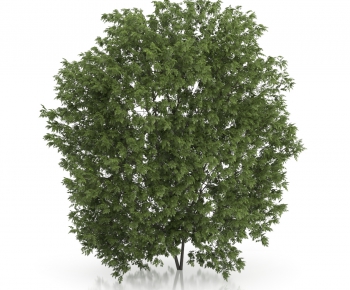 Modern Tree/shrub/grass-ID:352948257