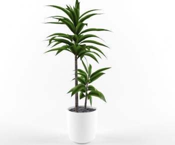 Modern Potted Green Plant-ID:303214218