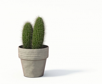 Modern Potted Green Plant-ID:734854625