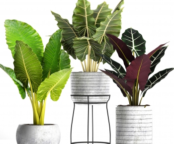 Modern Nordic Style Potted Green Plant-ID:969894344