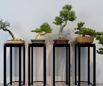 现代新中式绿植盆栽盆景3D模型