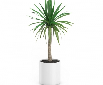 Modern Potted Green Plant-ID:709591813