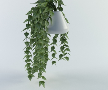Modern Potted Green Plant-ID:732099861