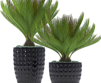 Modern Potted Green Plant-ID:990895147