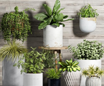 Modern Nordic Style Potted Green Plant-ID:846526951