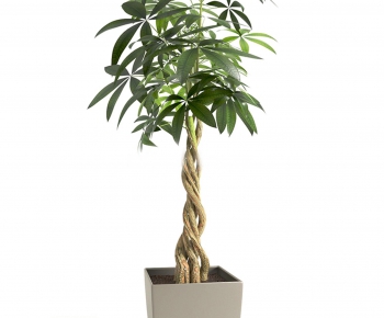 Modern Potted Green Plant-ID:273295998
