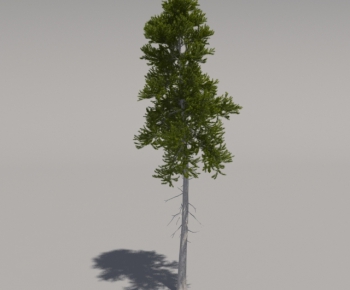 Modern Tree-ID:446903748