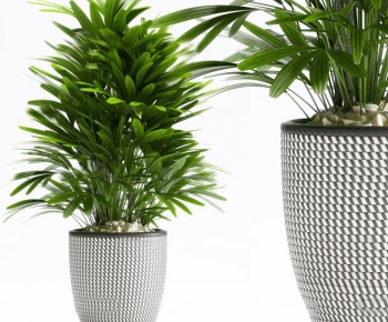 Modern Potted Green Plant-ID:483742178