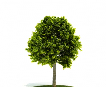 Modern Tree/shrub/grass-ID:408753642
