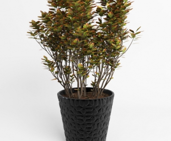 Modern Potted Green Plant-ID:134421681