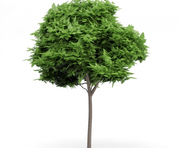 Modern Tree/shrub/grass-ID:426286646