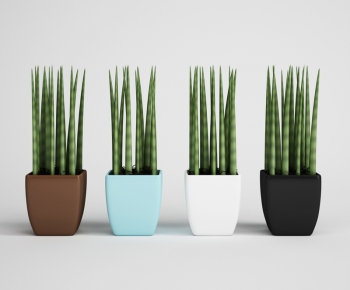 Modern Potted Green Plant-ID:178532978