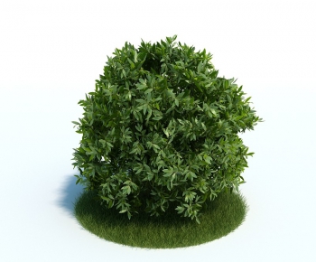 Modern Tree/shrub/grass-ID:621617876