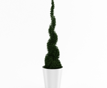 Modern Potted Green Plant-ID:809111497