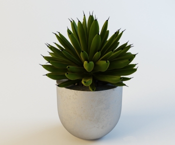 Modern Potted Green Plant-ID:855297917