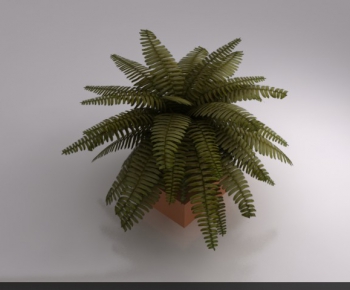 Modern Potted Green Plant-ID:152305564