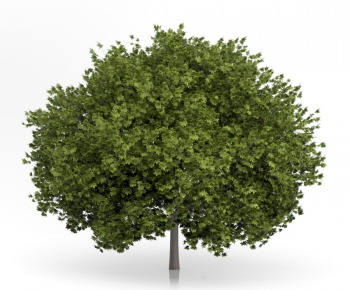 Modern Tree/shrub/grass-ID:455527581
