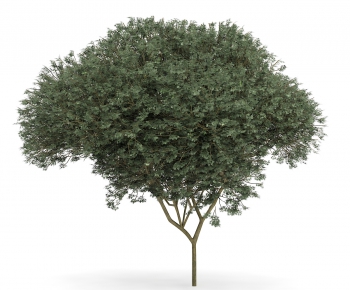 Modern Tree/shrub/grass-ID:544639979