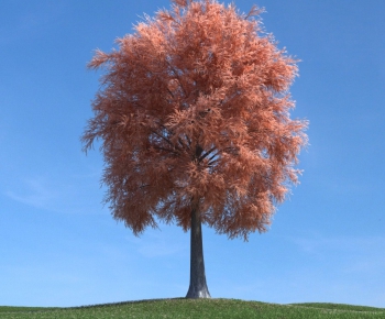 Modern Tree/shrub/grass-ID:228414949