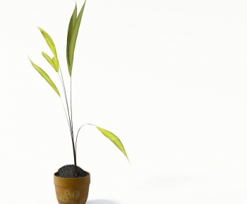 Modern Potted Green Plant-ID:605993369