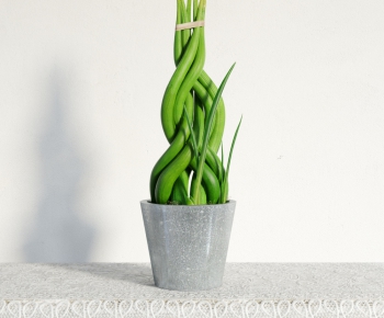 Modern Potted Green Plant-ID:221276715