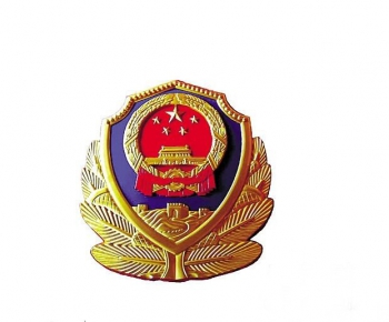 现代警察徽章-ID:677120629