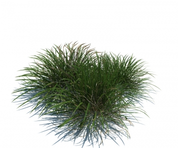 Modern Tree/shrub/grass-ID:780454864